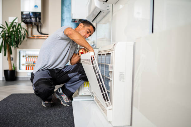Air Duct Mold Removal in CO