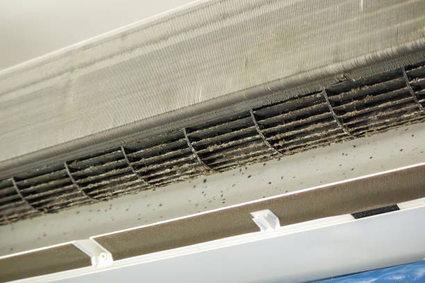 Best Affordable Air Duct Cleaning  in New Castle, CO